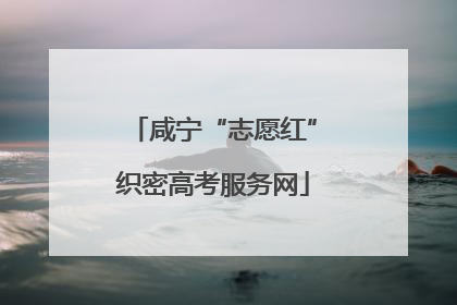 咸宁“志愿红”织密高考服务网
