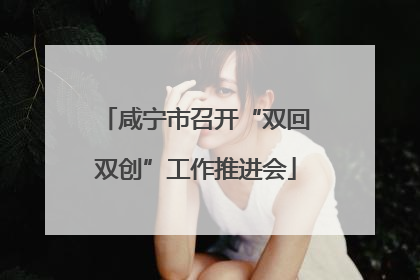 咸宁市召开“双回双创”工作推进会