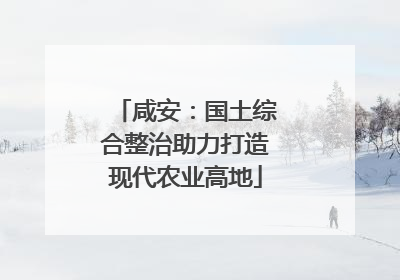 咸安：国土综合整治助力打造现代农业高地