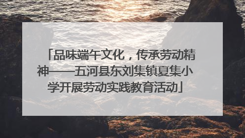 品味端午文化，传承劳动精神——五河县东刘集镇夏集小学开展劳动实践教育活动