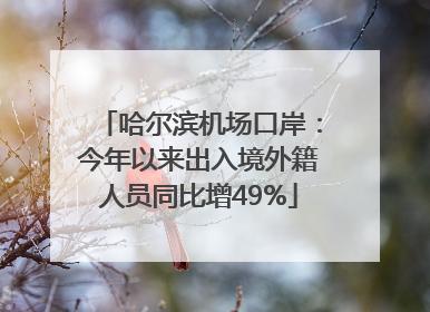 哈尔滨机场口岸：今年以来出入境外籍人员同比增49%