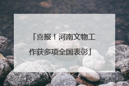 喜报！河南文物工作获多项全国表彰