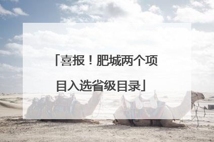 喜报！肥城两个项目入选省级目录