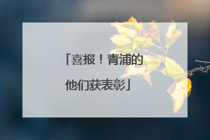 喜报！青浦的他们获表彰
