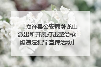嘉祥县公安局卧龙山派出所开展打击整治枪爆违法犯罪宣传活动