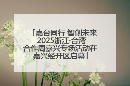 嘉台同行 智创未来 2025浙江·台湾合作周嘉兴专场活动在嘉兴经开区启幕