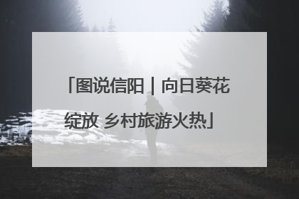 图说信阳｜向日葵花绽放 乡村旅游火热