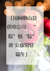 国网确山县供电公司：“粽”情“粽”意 安康常驻端午
