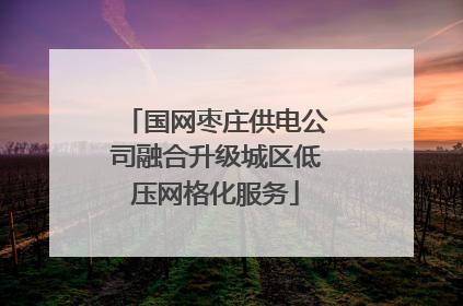 国网枣庄供电公司融合升级城区低压网格化服务