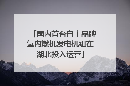 国内首台自主品牌氢内燃机发电机组在湖北投入运营