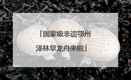 国家级非遗鄂州泽林旱龙舟来啦