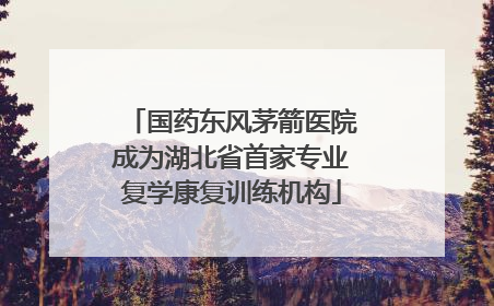 国药东风茅箭医院成为湖北省首家专业复学康复训练机构