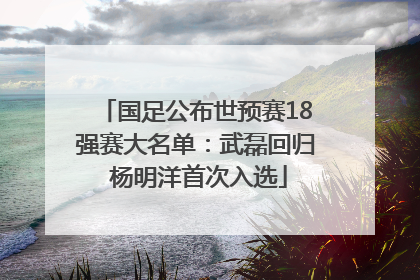 国足公布世预赛18强赛大名单：武磊回归 杨明洋首次入选