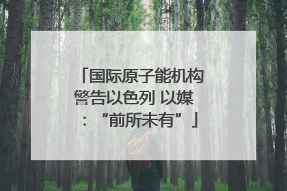 国际原子能机构警告以色列 以媒：“前所未有”