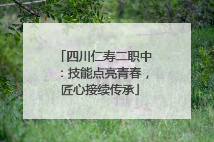 四川仁寿二职中：技能点亮青春，匠心接续传承