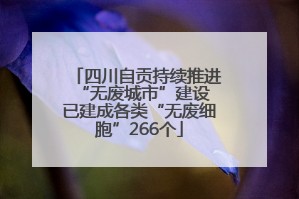四川自贡持续推进“无废城市”建设 已建成各类“无废细胞”266个