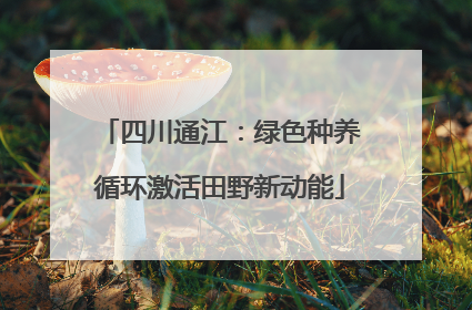四川通江：绿色种养循环激活田野新动能