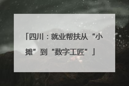 四川：就业帮扶从“小摊”到“数字工匠”