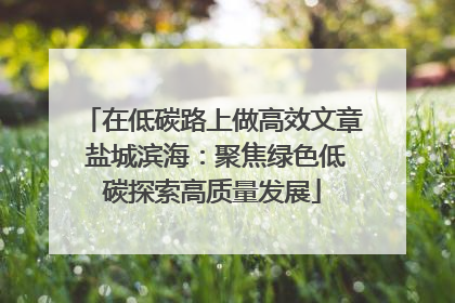 在低碳路上做高效文章 盐城滨海：聚焦绿色低碳探索高质量发展
