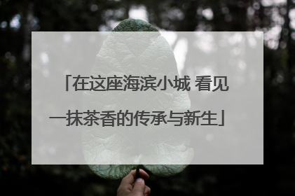 在这座海滨小城 看见一抹茶香的传承与新生