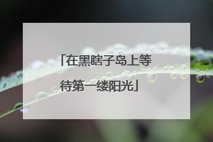 在黑瞎子岛上等待第一缕阳光