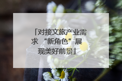 对接文旅产业需求 “新角色”展现美好前景