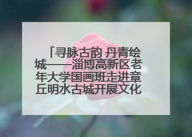 寻脉古韵 丹青绘城——淄博高新区老年大学国画班走进章丘明水古城开展文化研学活动