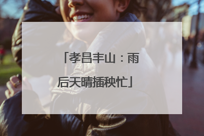 孝昌丰山：雨后天晴插秧忙