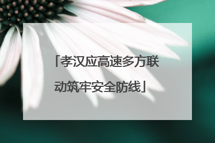 孝汉应高速多方联动筑牢安全防线