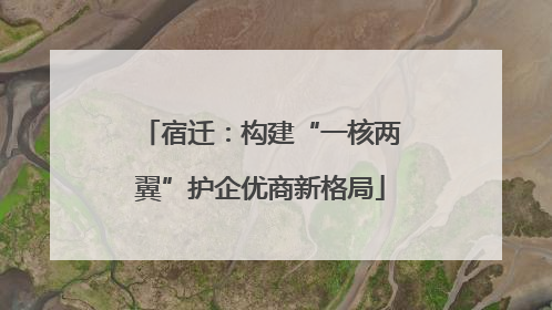 宿迁：构建“一核两翼”护企优商新格局