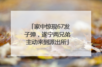 家中惊现67发子弹，遂宁两兄弟主动来到派出所