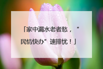 家中漏水老者愁，“民情快办”速排忧！