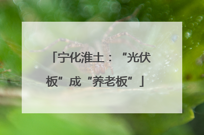 宁化淮土：“光伏板”成“养老板”