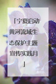 宁夏启动黄河流域生态保护主题宣传实践月