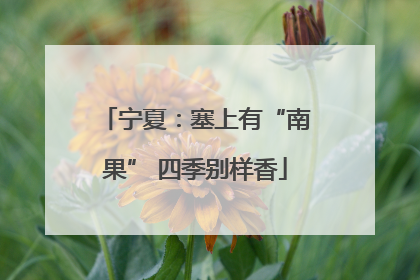 宁夏：塞上有“南果” 四季别样香