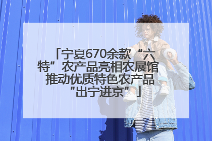宁夏670余款“六特”农产品亮相农展馆 推动优质特色农产品“出宁进京”
