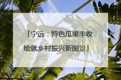 宁远：特色瓜果丰收绘就乡村振兴新图景