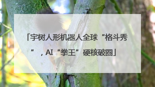 宇树人形机器人全球“格斗秀”，AI“拳王”硬核破圈