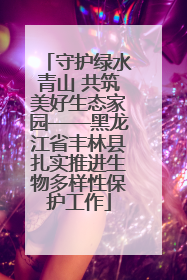 守护绿水青山 共筑美好生态家园——黑龙江省丰林县扎实推进生物多样性保护工作