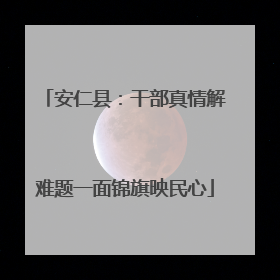 安仁县：干部真情解难题一面锦旗映民心