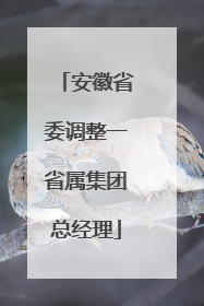 安徽省委调整一省属集团总经理