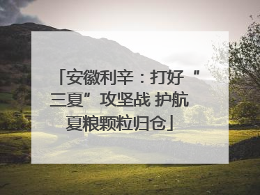 安徽利辛：打好“三夏”攻坚战 护航夏粮颗粒归仓