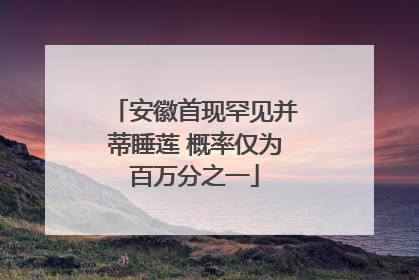 安徽首现罕见并蒂睡莲 概率仅为百万分之一