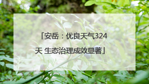 安岳：优良天气324天 生态治理成效显著