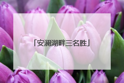安澜湖畔三名胜
