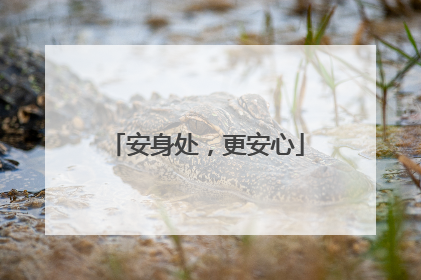 安身处，更安心