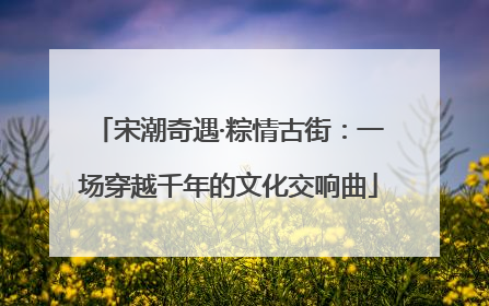 宋潮奇遇·粽情古街：一场穿越千年的文化交响曲