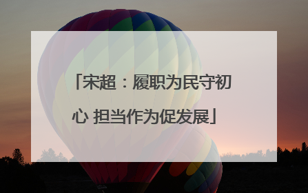 宋超：履职为民守初心 担当作为促发展