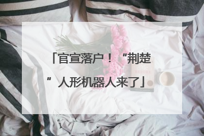 官宣落户！“荆楚”人形机器人来了