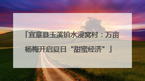 宜章县玉溪镇水浸窝村：万亩杨梅开启夏日“甜蜜经济”